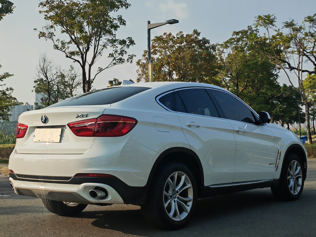 宝马 宝马X6  2015款 xDrive35i 豪华型图片