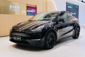 Model Y 特斯拉 长续航全轮驱动版 3D7