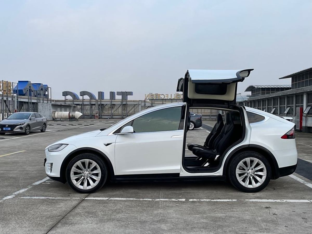 特斯拉 Model X  2017款 Model X 100D 長續(xù)航版圖片