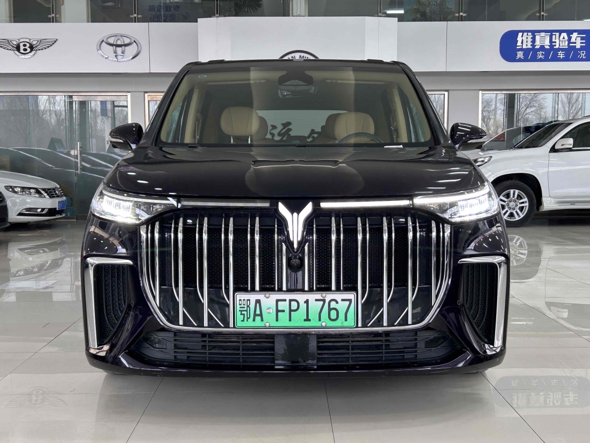 嵐圖 夢(mèng)想家  2024款 PHEV 超長(zhǎng)續(xù)航尊貴版圖片