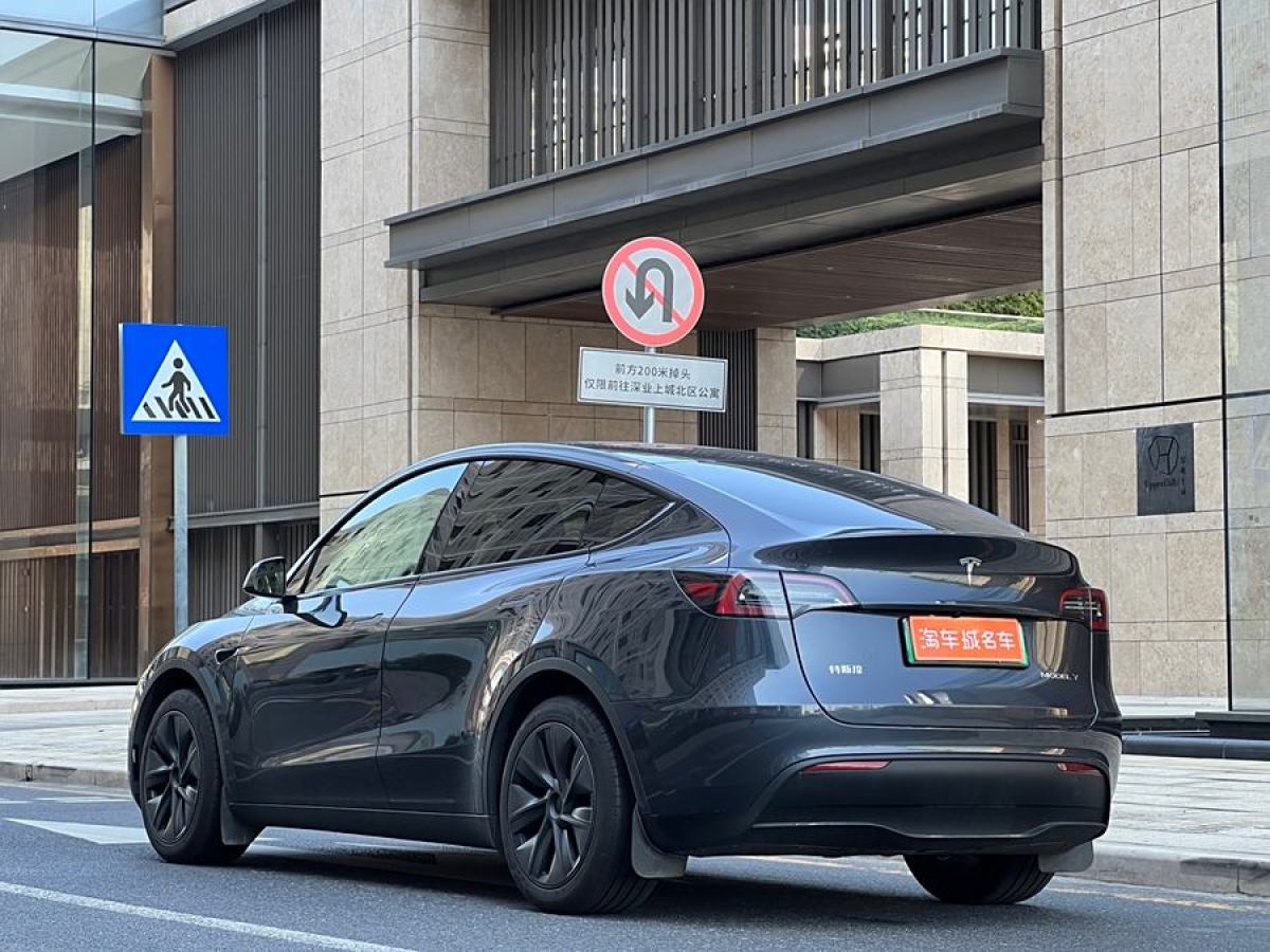 特斯拉 Model Y  2020款 改款 長續(xù)航后輪驅(qū)動版圖片