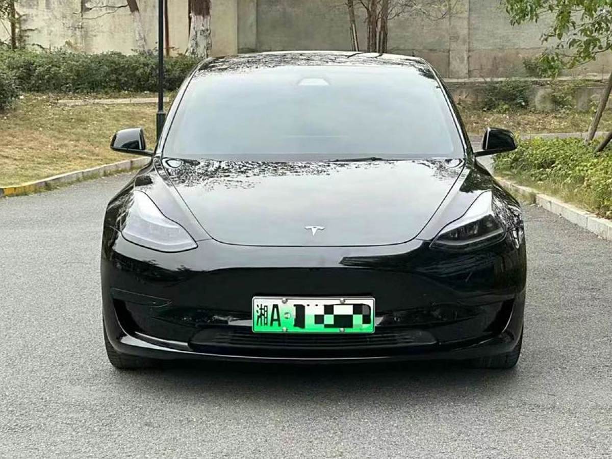 特斯拉 Model 3  2021款 改款 標(biāo)準(zhǔn)續(xù)航后驅(qū)升級版圖片