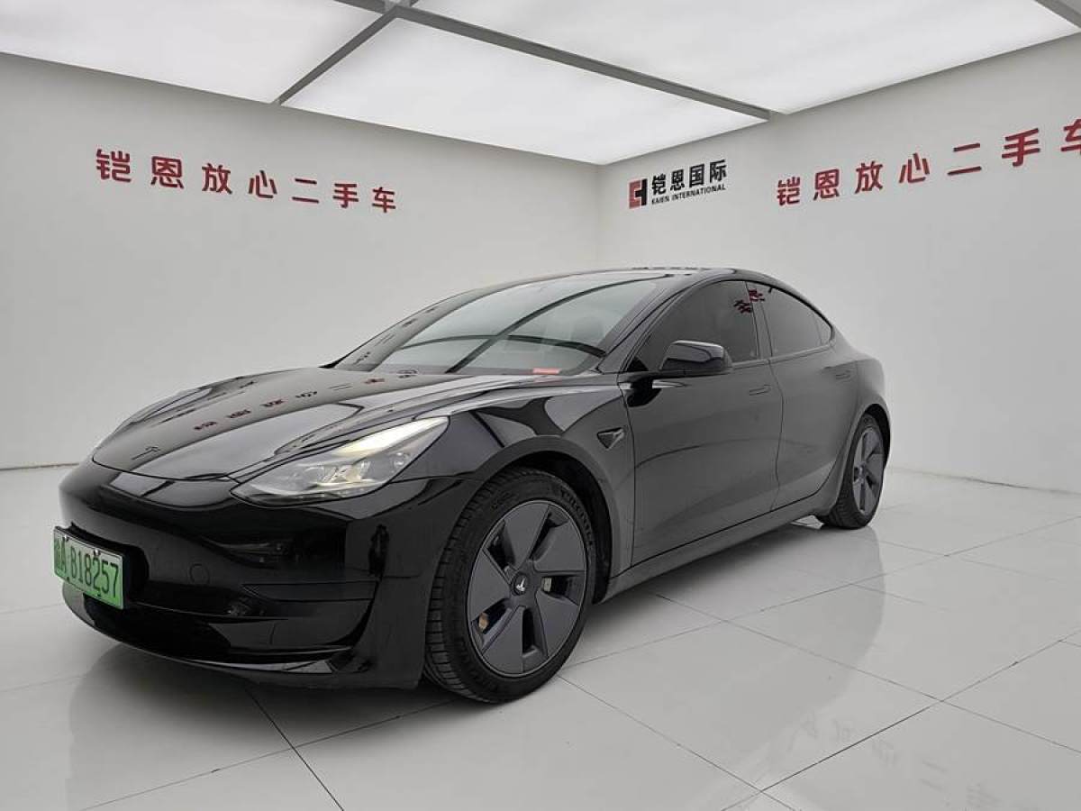 2021年1月特斯拉 Model 3  2019款 標(biāo)準(zhǔn)續(xù)航后驅(qū)升級(jí)版