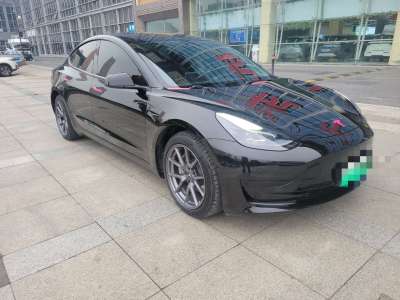 2022年3月 特斯拉 Model 3 后輪驅(qū)動(dòng)版圖片