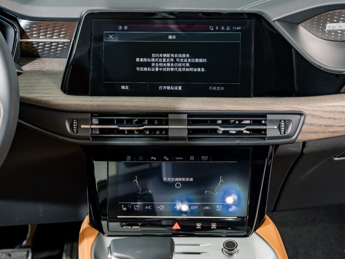 奥迪 奥迪Q6  2024款 45 TFSI quattro 齐云型 羽林套装 6座图片