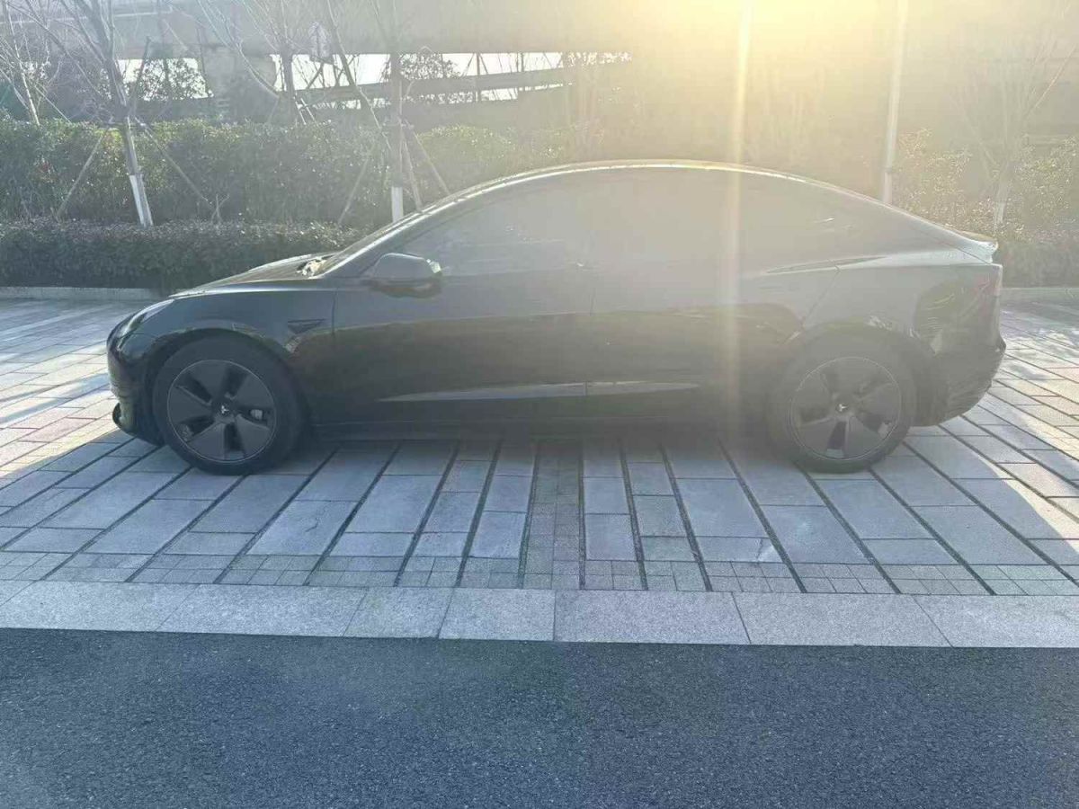 特斯拉 Model S  2023款 三電機(jī)全輪驅(qū)動(dòng) Plaid版圖片