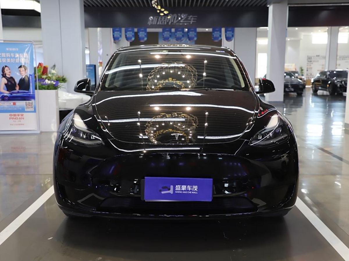 特斯拉 Model 3  2022款 后輪驅(qū)動版圖片