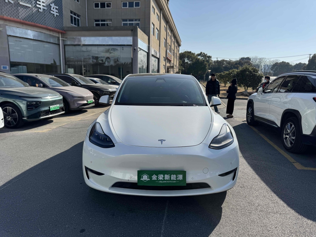 特斯拉 Model Y  2021款 長(zhǎng)續(xù)航全輪驅(qū)動(dòng)版 3D7圖片