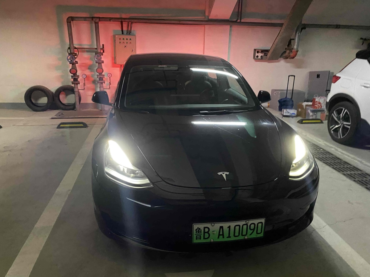 特斯拉 Model 3  2019款 標(biāo)準(zhǔn)續(xù)航后驅(qū)升級版圖片