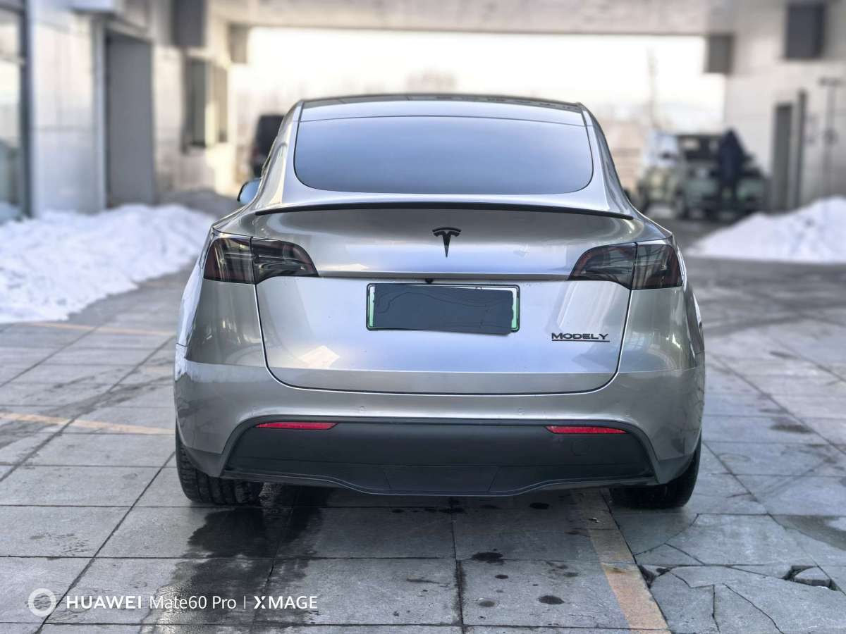 特斯拉 Model Y  2022款 Performance高性能全輪驅(qū)動版圖片