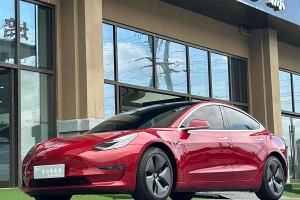 Model 3 特斯拉 长续航全轮驱动版