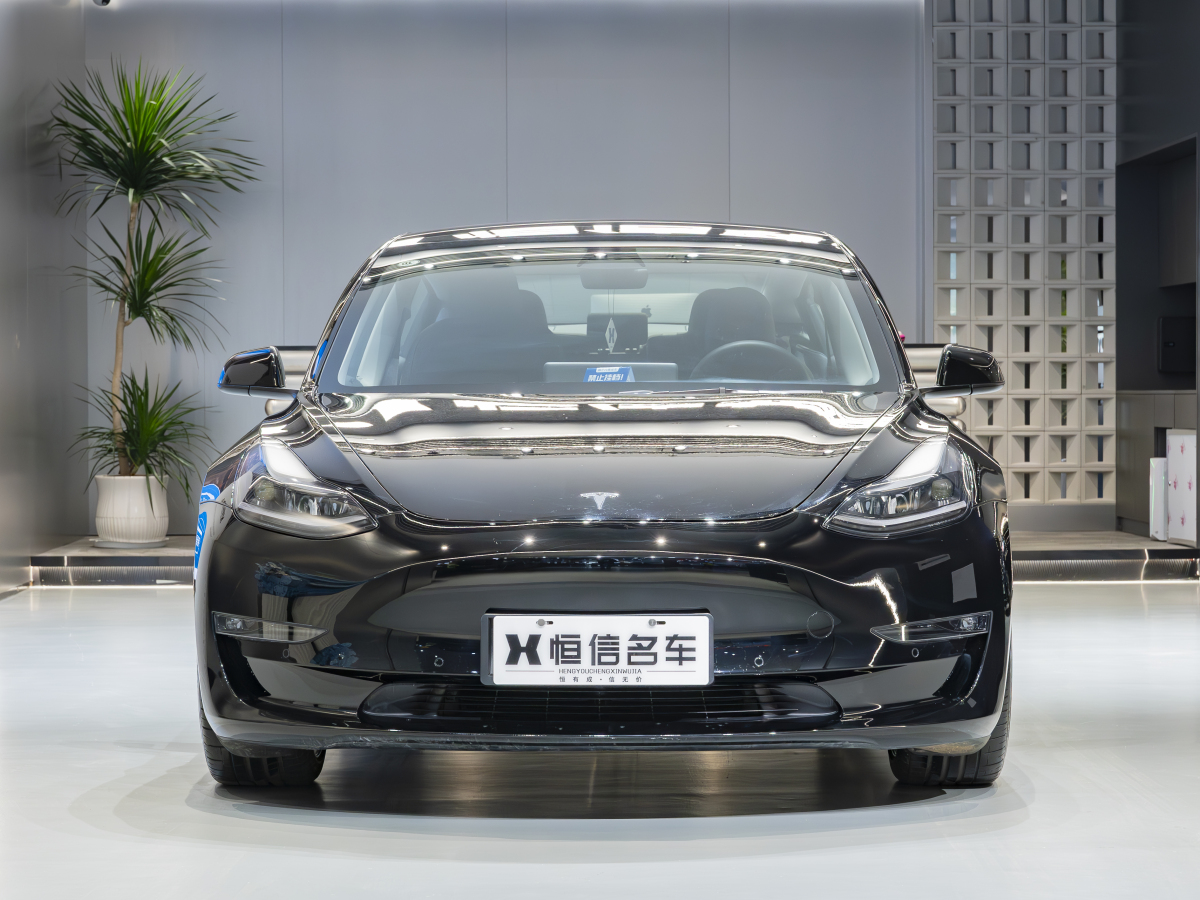 特斯拉 Model 3  2019款 Performance高性能全輪驅(qū)動(dòng)版圖片