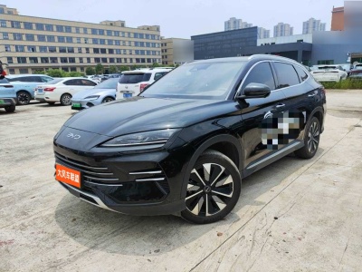 2024年8月 比亞迪 宋PLUS新能源 DM-i 112KM 尊榮型圖片