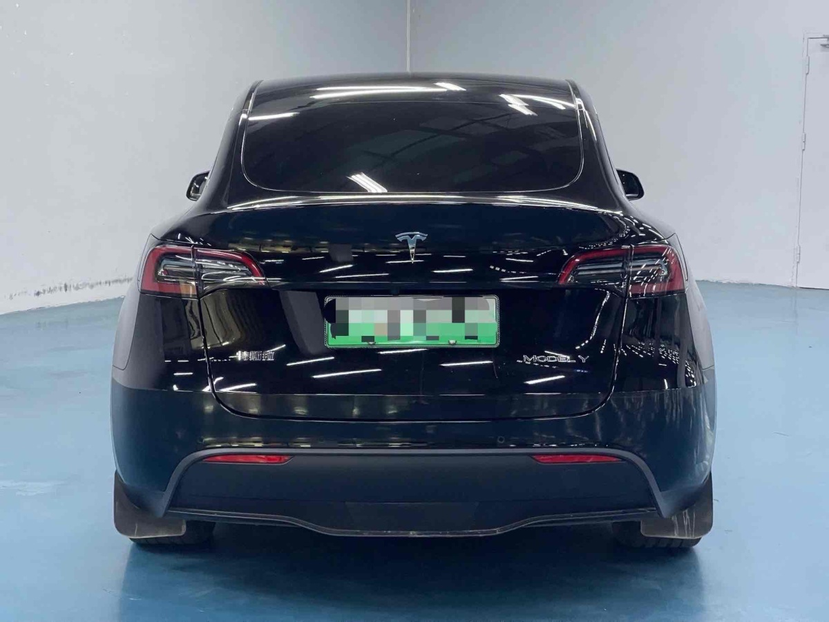 特斯拉 Model 3  2020款 改款 長續(xù)航后輪驅(qū)動版圖片