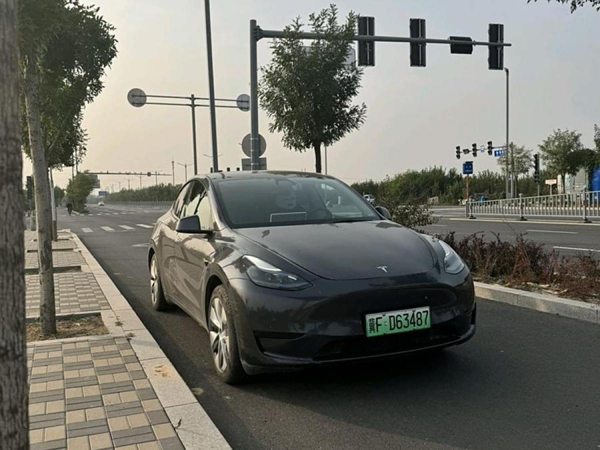 特斯拉 Model Y  2022款 后輪驅(qū)動版圖片