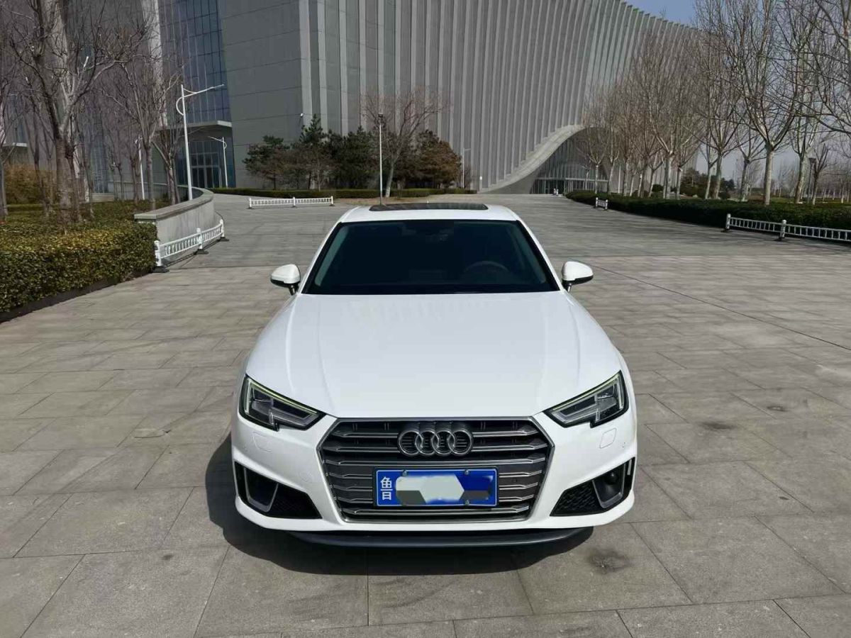 奧迪 奧迪A4L  2020款 35 TFSI 時(shí)尚動感型圖片