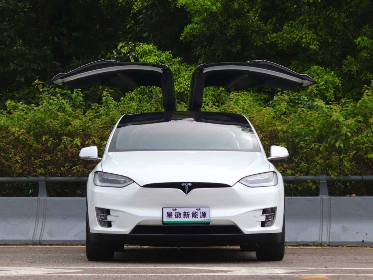 2017年5月特斯拉 Model X  2016款 Model X 75D