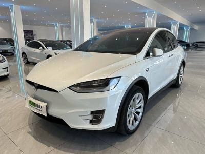 2019年10月 特斯拉 Model X Model X 100D 長(zhǎng)續(xù)航版圖片