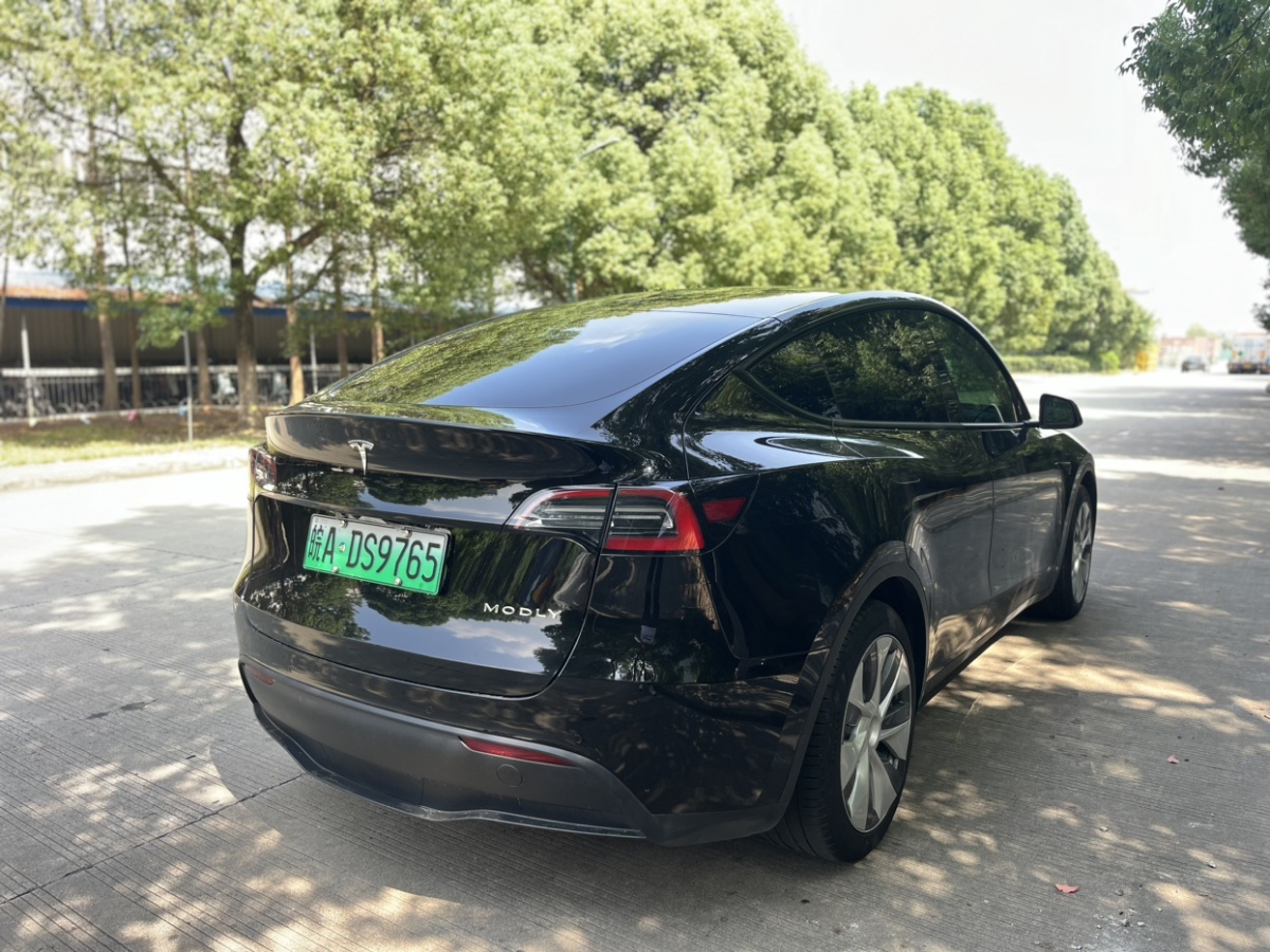 2022年10月特斯拉 Model 3  2022款 后驅(qū)版