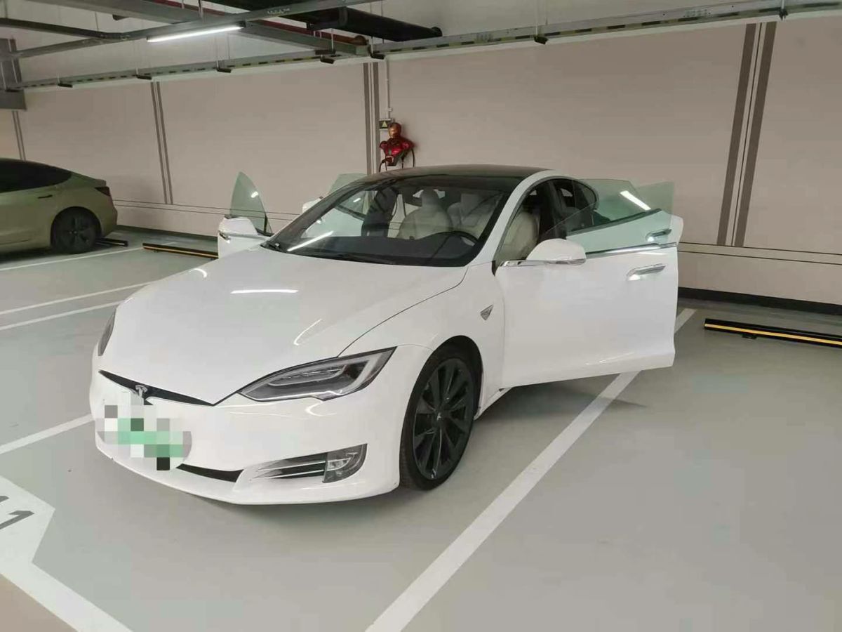 特斯拉 Model X  2020款 Performance 高性能版圖片