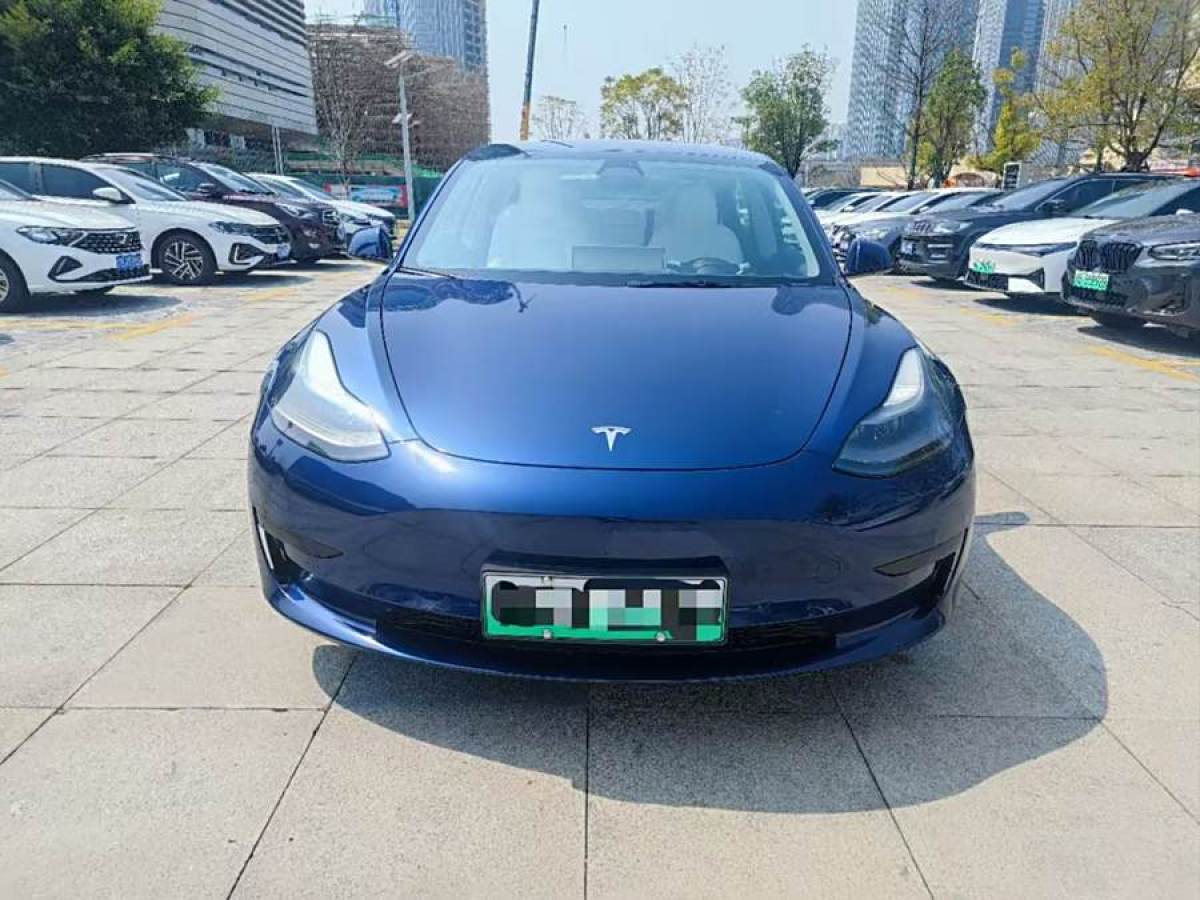 特斯拉 Model 3  2021款 改款 標準續(xù)航后驅(qū)升級版圖片