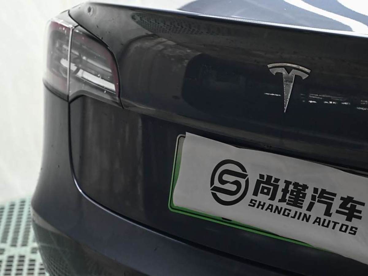 特斯拉 Model 3  2019款 標準續(xù)航后驅升級版圖片