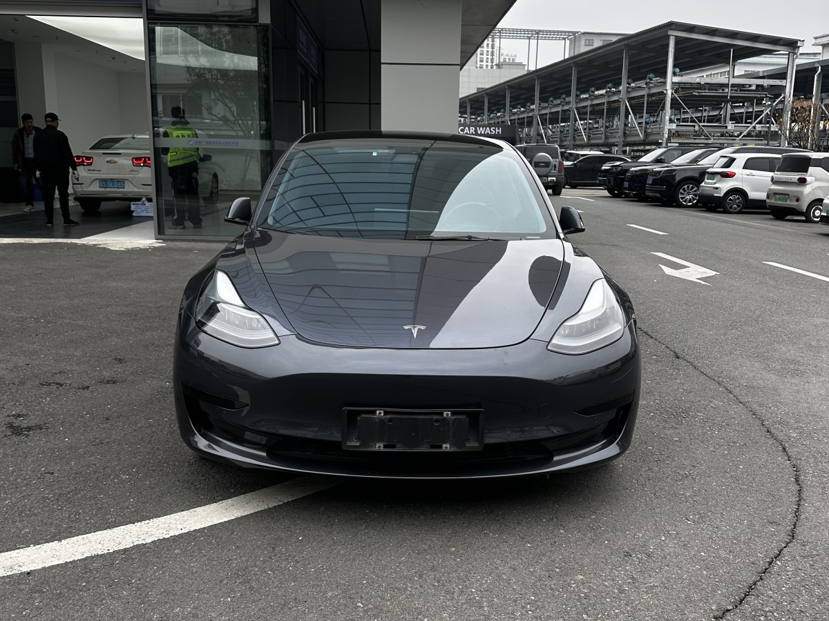 特斯拉 Model 3  2021款 標(biāo)準(zhǔn)續(xù)航后驅(qū)升級版 3D6圖片