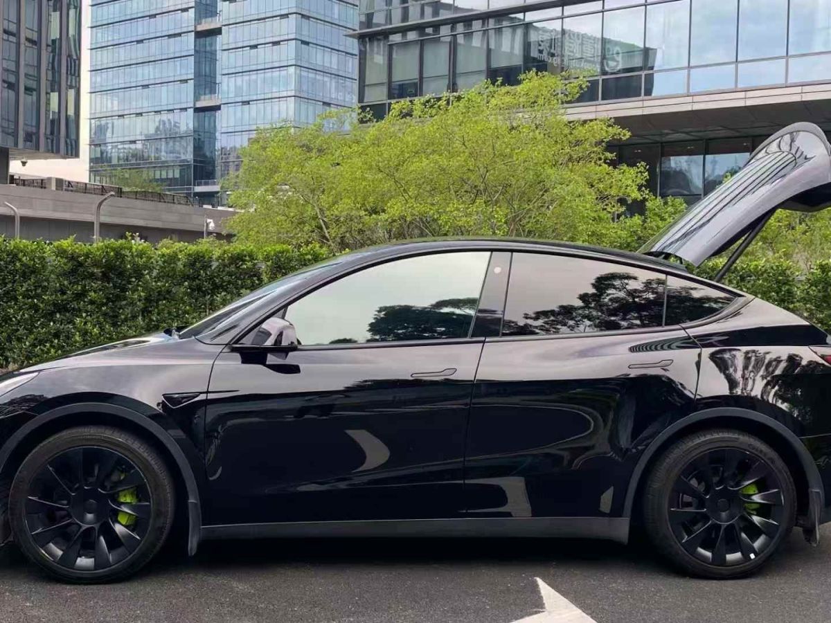 特斯拉 Model Y  2022款 Performance高性能全輪驅(qū)動(dòng)版圖片