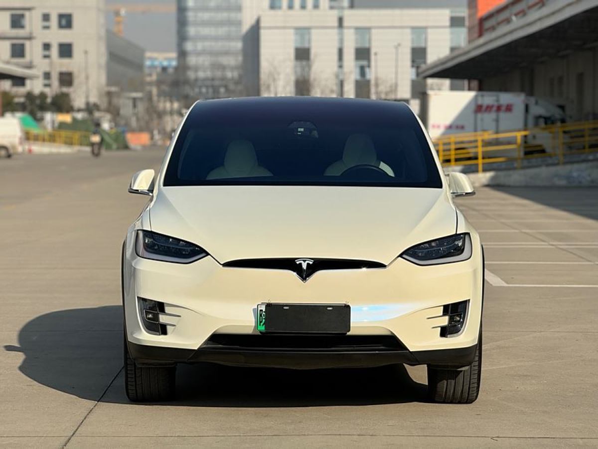 特斯拉 Model X  2017款 Model X 100D 長續(xù)航版圖片