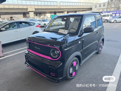 吉利 熊猫mini  2024款 200km 熊猫骑士