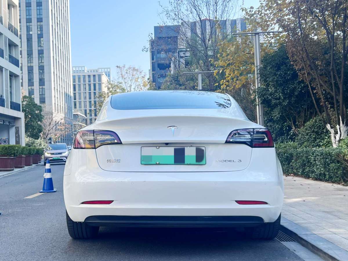 特斯拉 Model 3  2019款 標準續(xù)航后驅(qū)升級版圖片