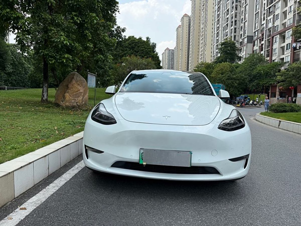 特斯拉 Model 3  2021款 改款 長續(xù)航全輪驅動版圖片