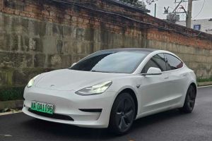 Model 3 特斯拉 标准续航后驱升级版