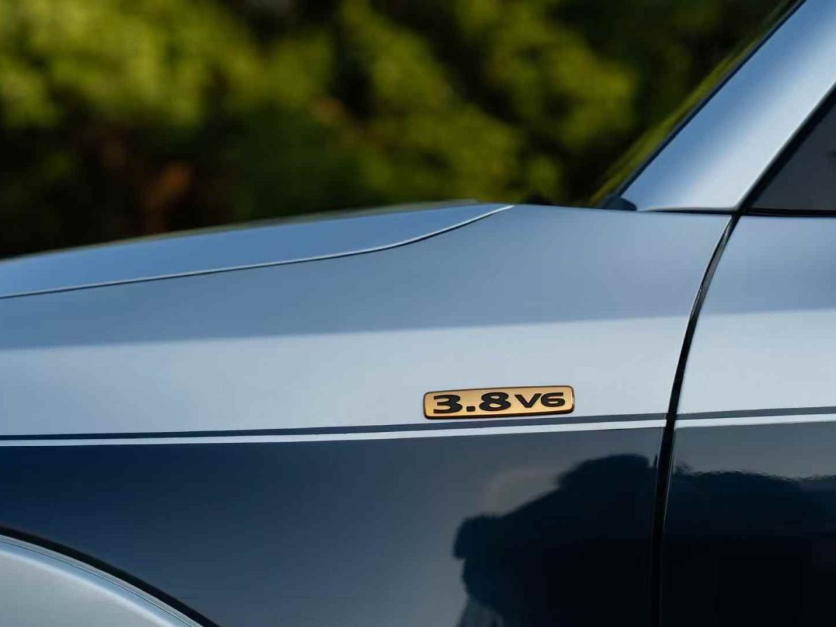三菱 帕杰羅  2008款 V73 3.0L AT GLS圖片