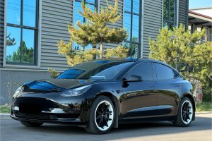 Model 3 特斯拉 改款 標(biāo)準(zhǔn)續(xù)航后驅(qū)升級(jí)版