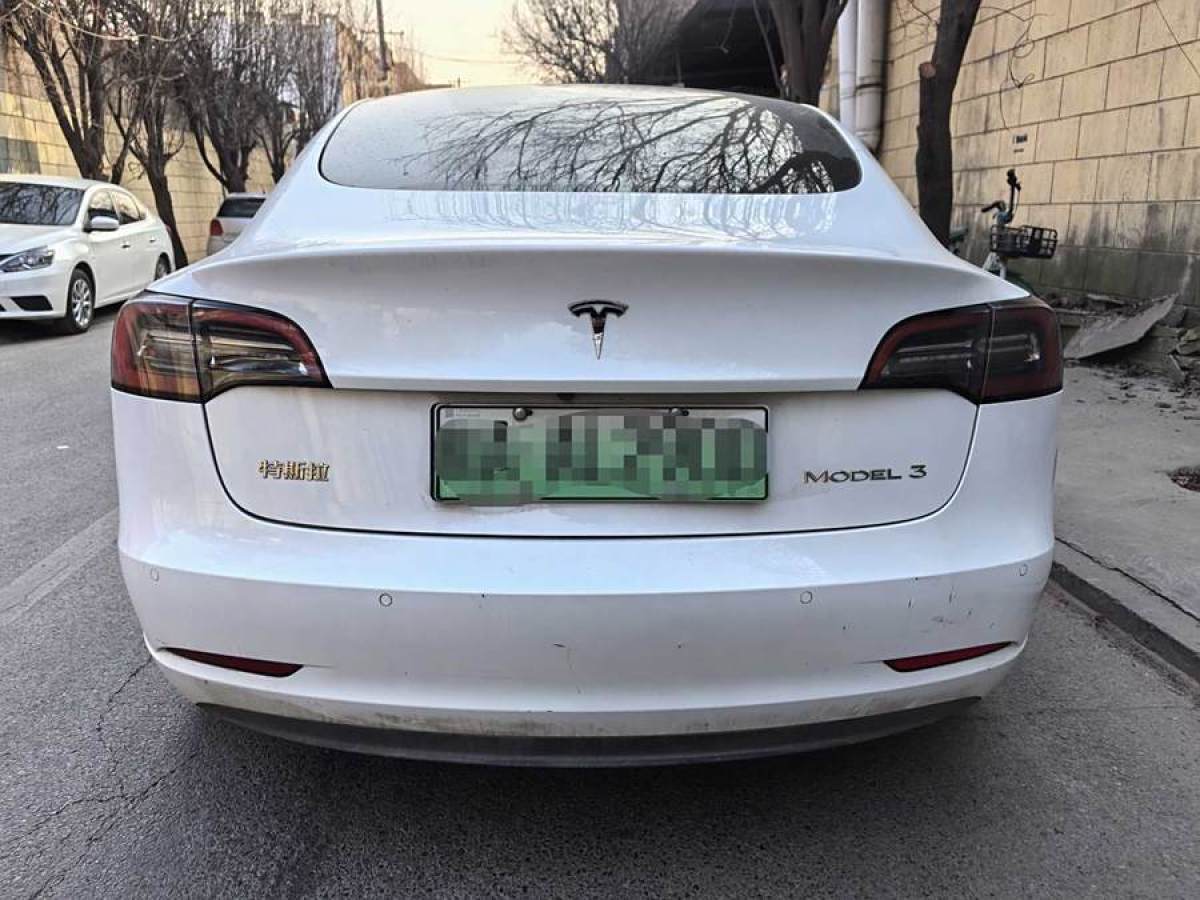 特斯拉 Model 3  2021款 改款 標(biāo)準(zhǔn)續(xù)航后驅(qū)升級(jí)版圖片