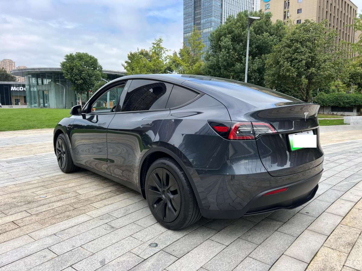 2024年4月特斯拉 Model Y  2022款 后輪驅(qū)動(dòng)版