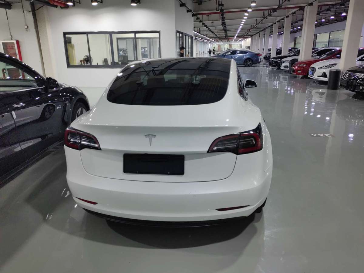 特斯拉 Model 3  2019款 長續(xù)航后驅版圖片