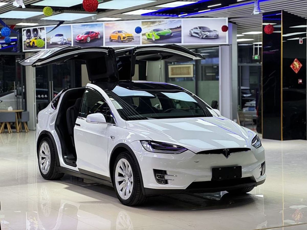 2018年1月特斯拉 Model X  2016款 Model X 75D