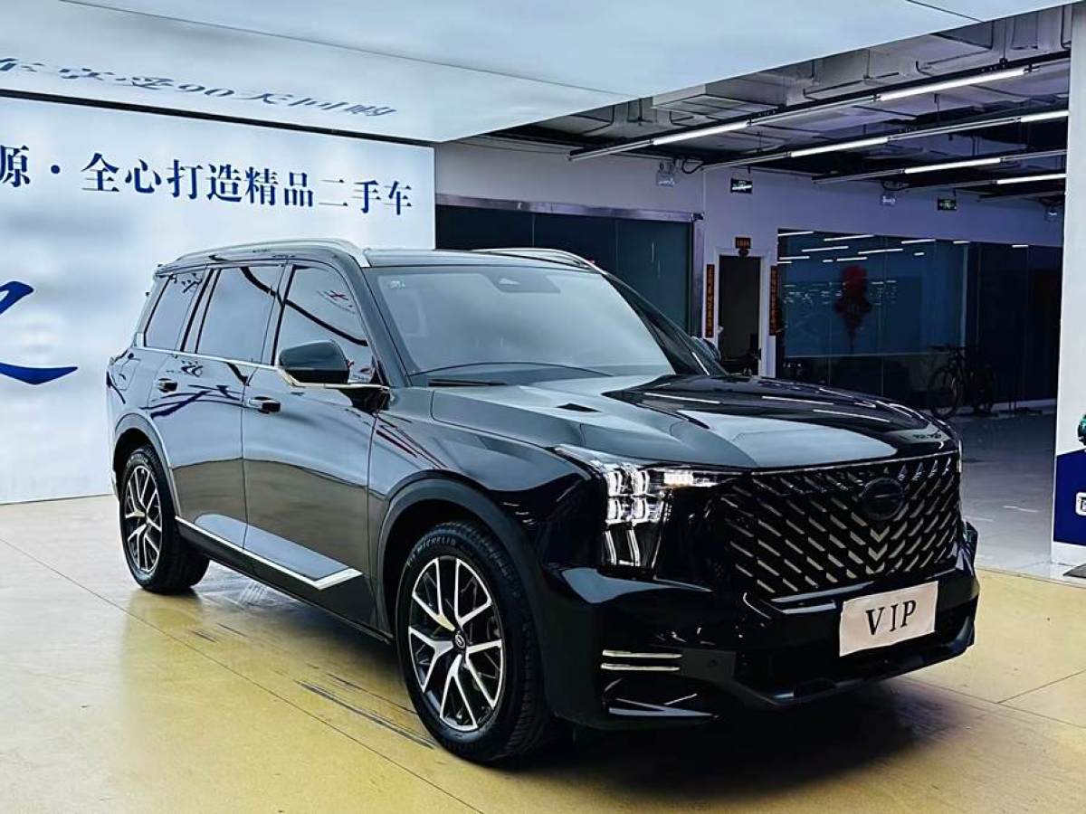 2022年2月廣汽傳祺 GS8  2022款 領(lǐng)航系列 2.0TGDI 兩驅(qū)豪華智聯(lián)版（七座）