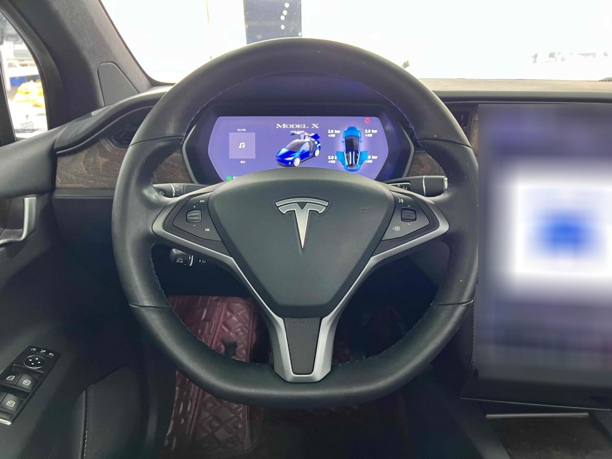 特斯拉 Model X  2019款 長續(xù)航版圖片