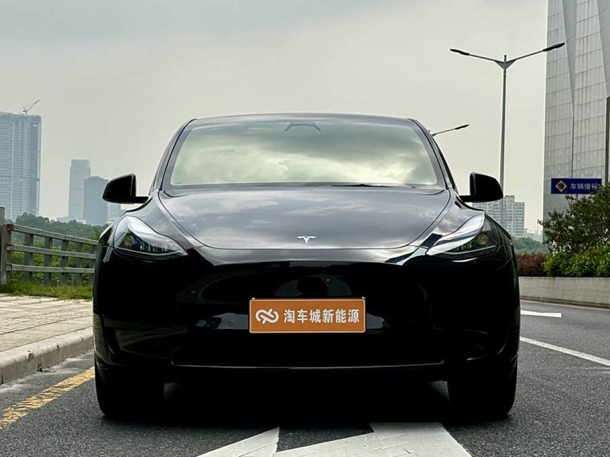 特斯拉 Model Y  2020款 改款 長續(xù)航后輪驅(qū)動版圖片