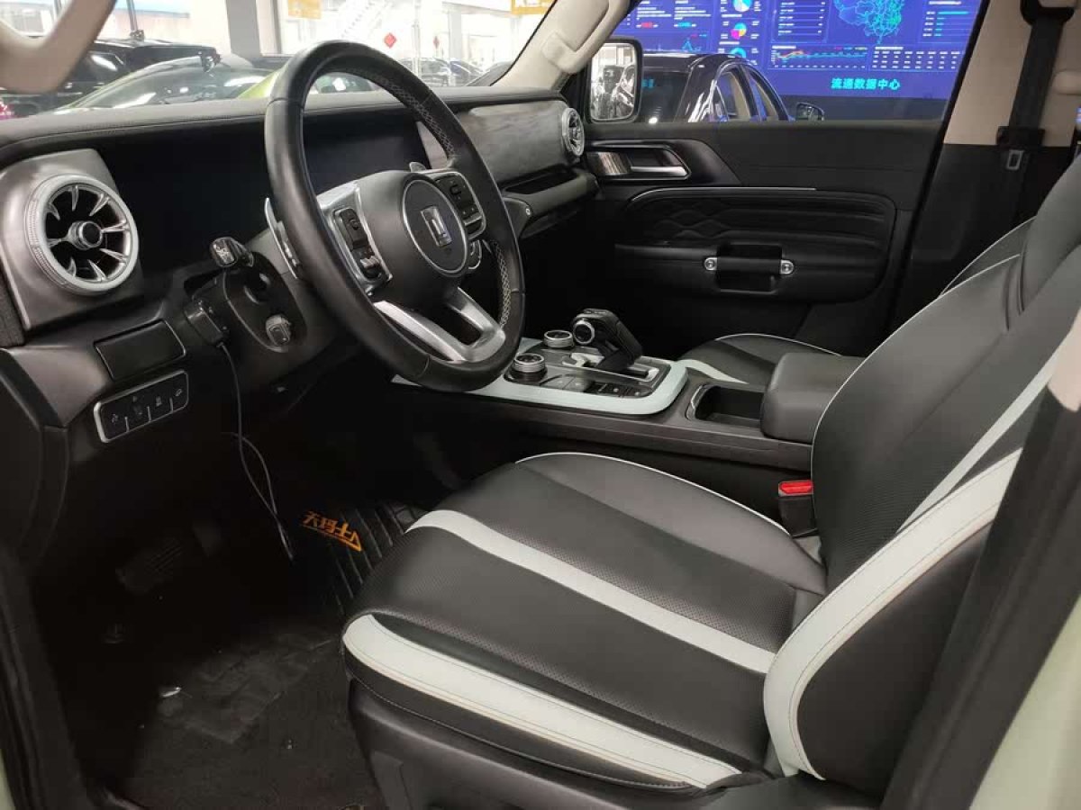 坦克 坦克300  2021款 城市版 2.0T 我看型圖片