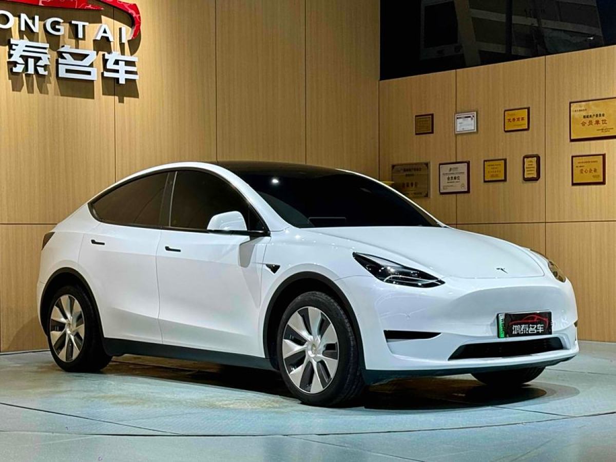 特斯拉 Model Y  2020款 改款 長續(xù)航后輪驅(qū)動版圖片