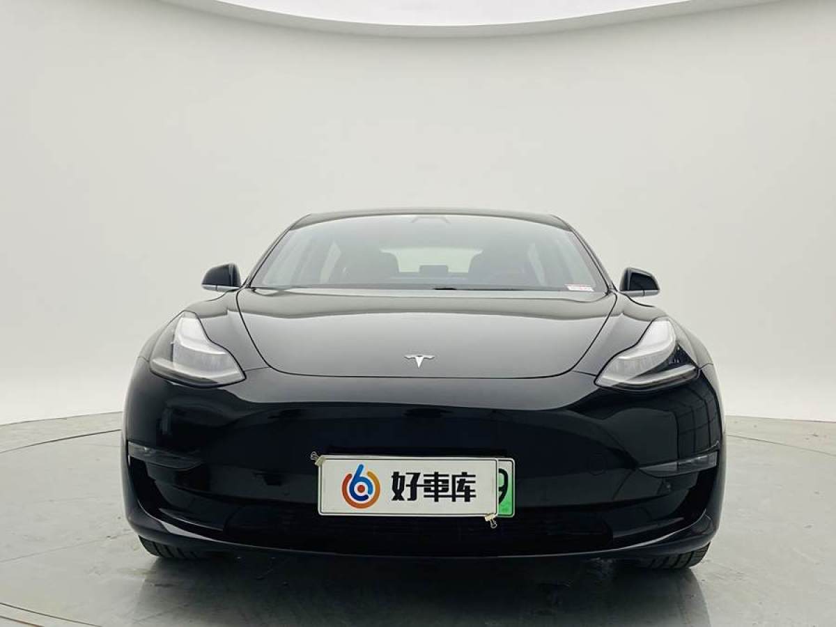 特斯拉 Model 3  2019款 長(zhǎng)續(xù)航后驅(qū)版圖片