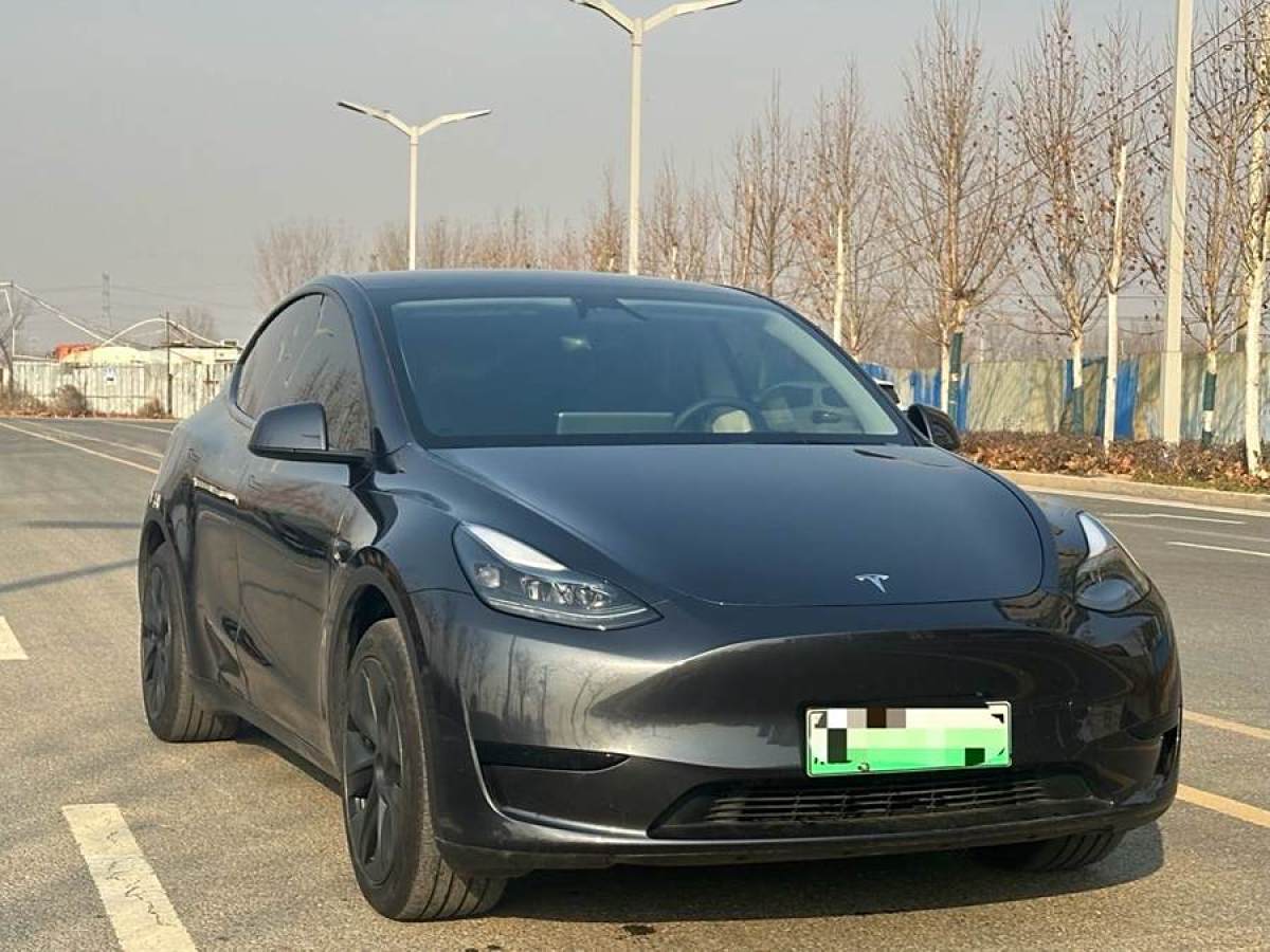 特斯拉 Model 3  2020款 改款 長續(xù)航后輪驅(qū)動版圖片