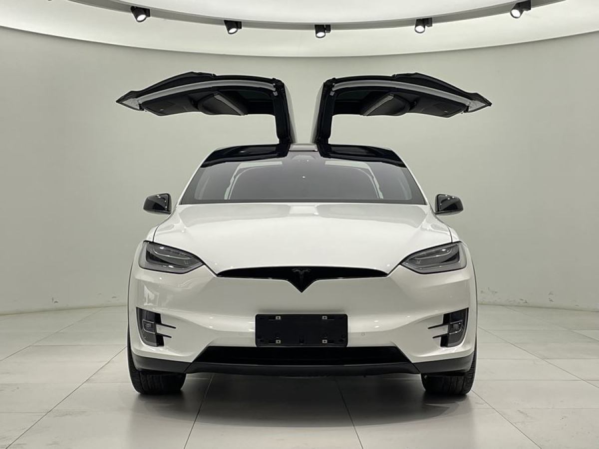 特斯拉 Model X  2019款 長(zhǎng)續(xù)航版圖片