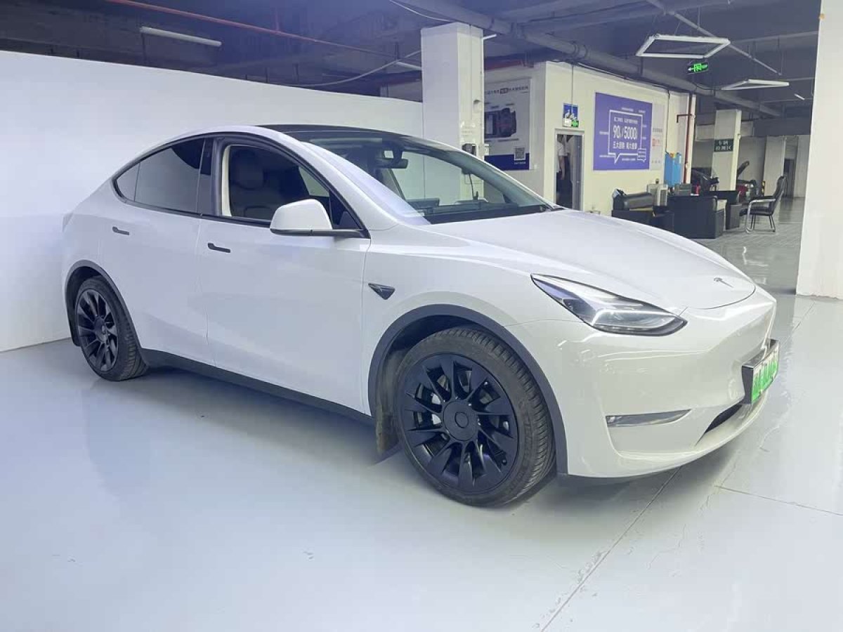 特斯拉 Model Y  2021款 標(biāo)準(zhǔn)續(xù)航后驅(qū)版圖片