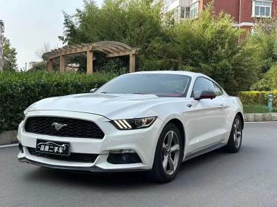 2017年1月 福特 Mustang(進(jìn)口) 2.3T 運(yùn)動(dòng)版圖片