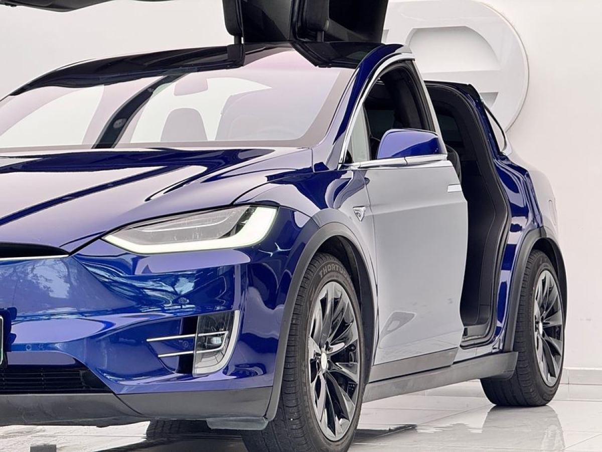 特斯拉 Model X  2019款 長續(xù)航版圖片